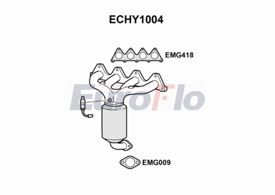 ECHY1004
