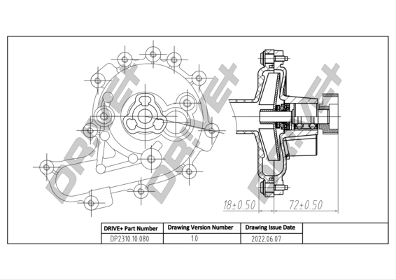 DP2310.10.080