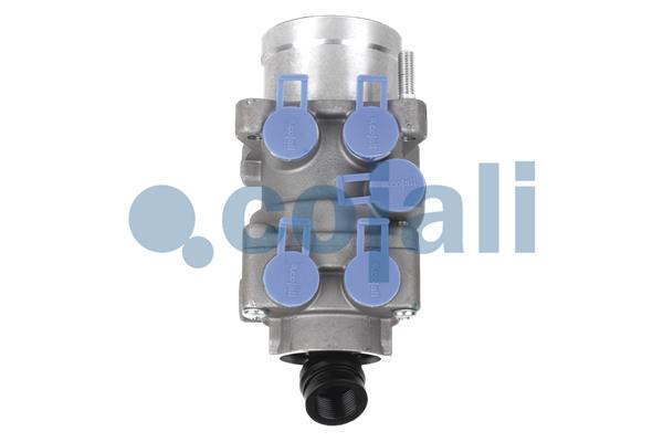 81523206138