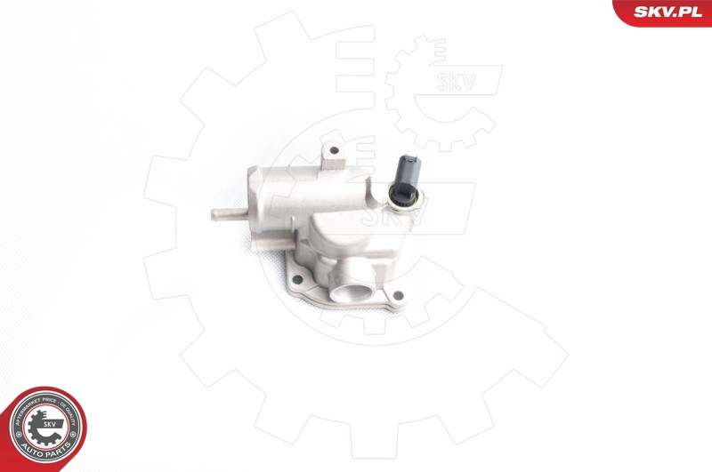 20SKV030