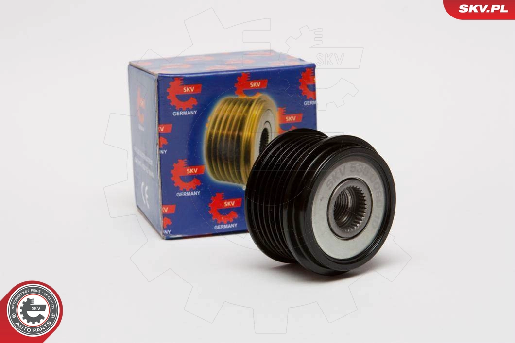 11SKV030