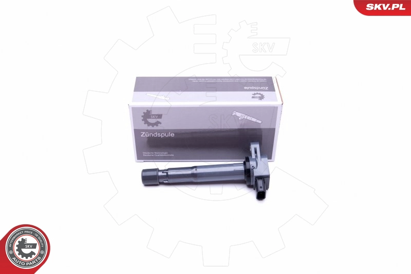 03SKV307