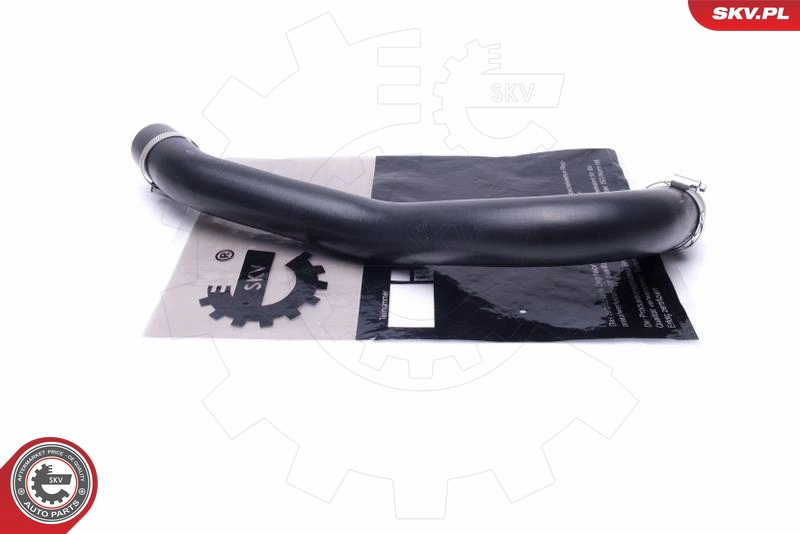 54SKV061