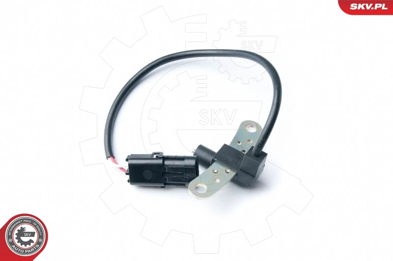 17SKV284
