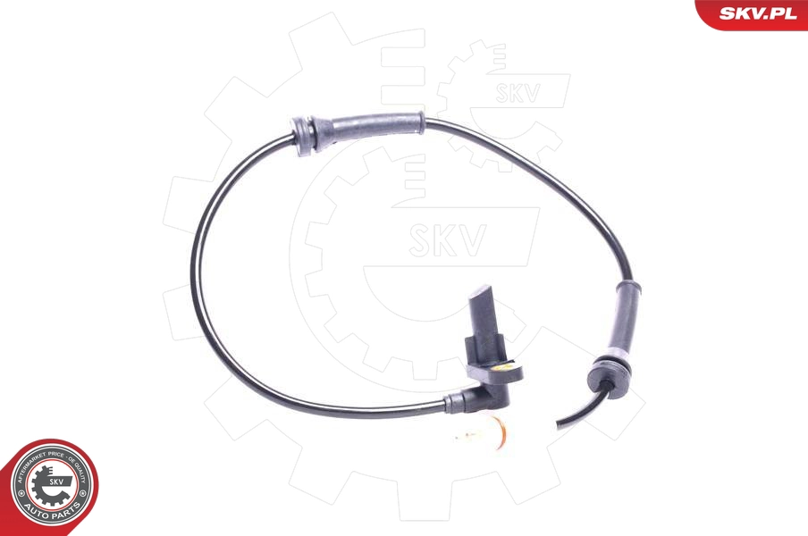 06SKV116