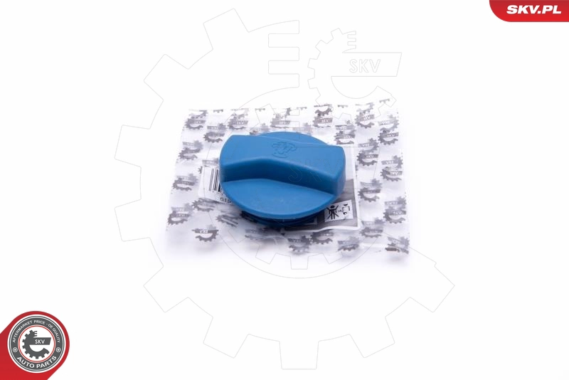 61SKV011