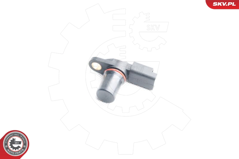 17SKV355