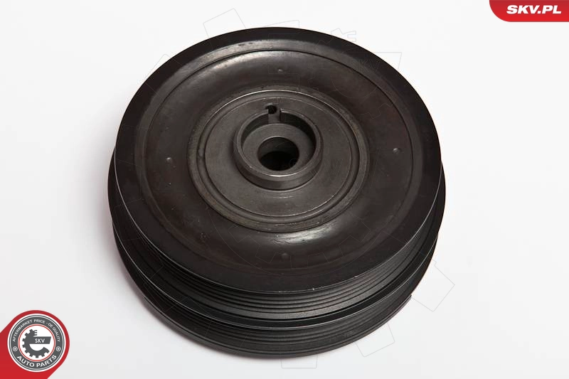 95SKV303