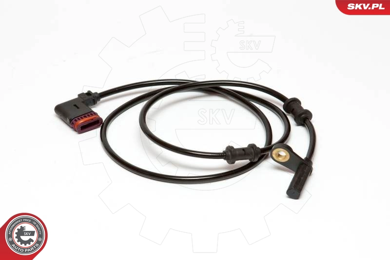 06SKV061
