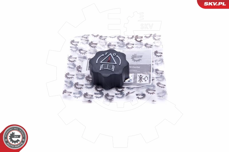 61SKV025