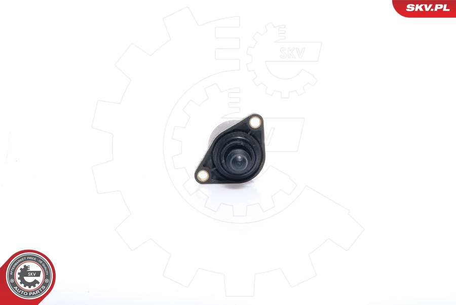 08SKV022
