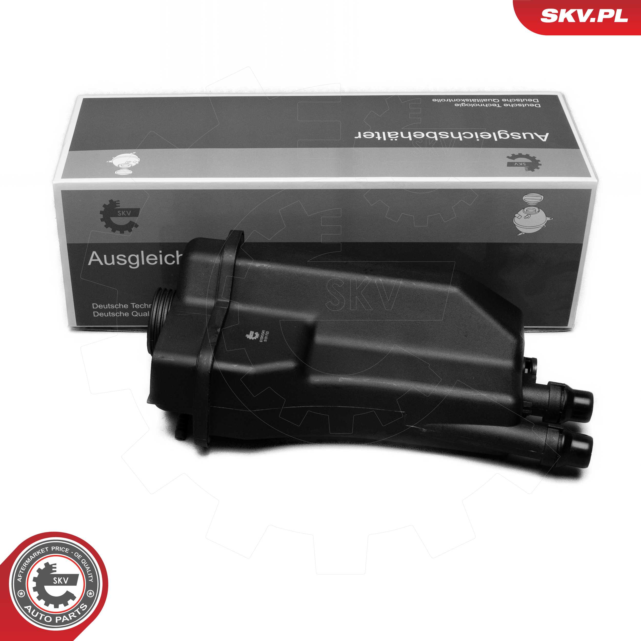 61SKV341