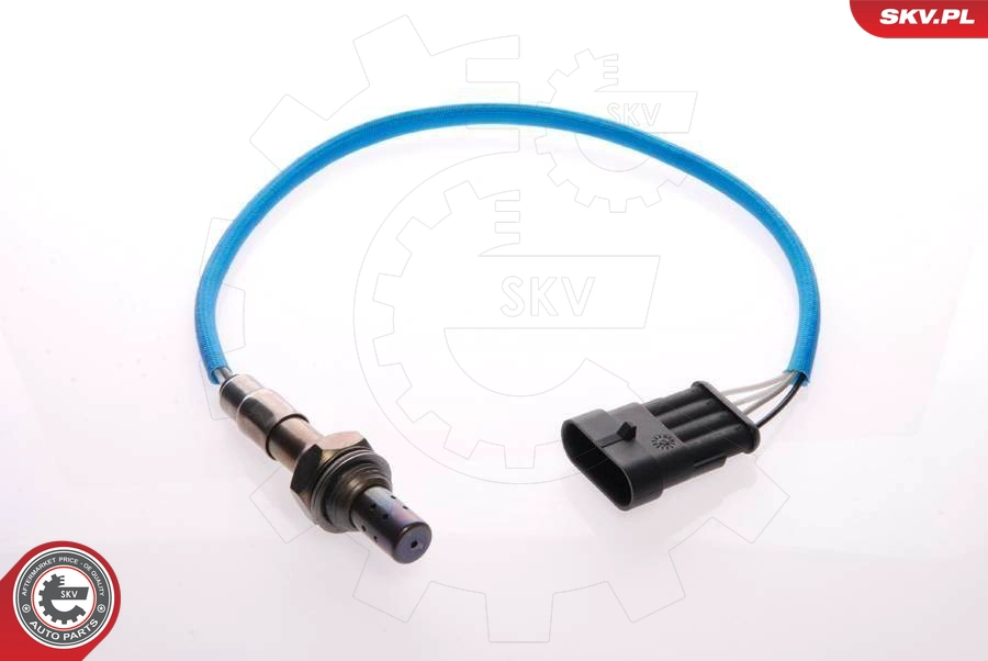 09SKV059