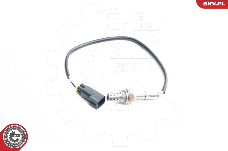 09SKV096