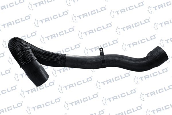 520443