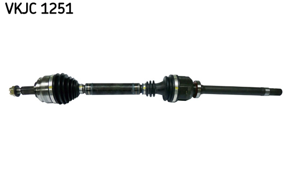VKJC 1251