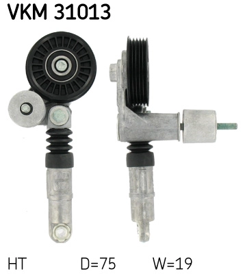VKM31013