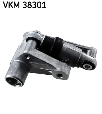 VKM38301