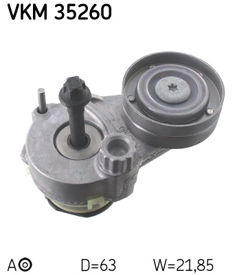 VKM35260