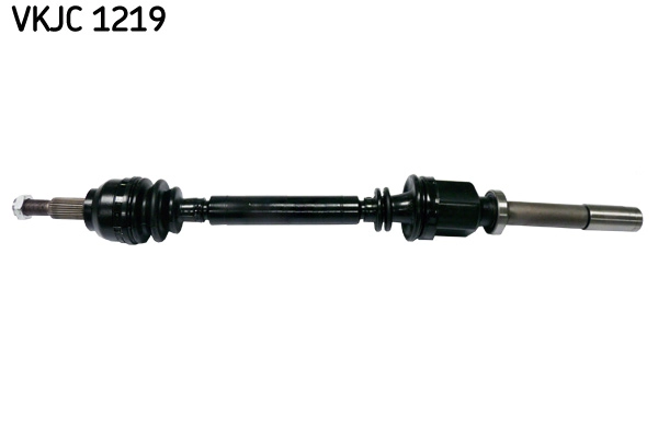 VKJC 1219