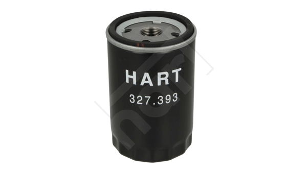 327393