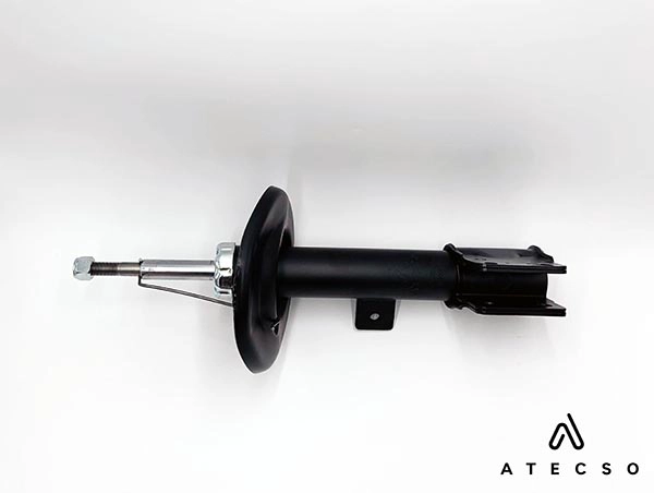 AMT00294