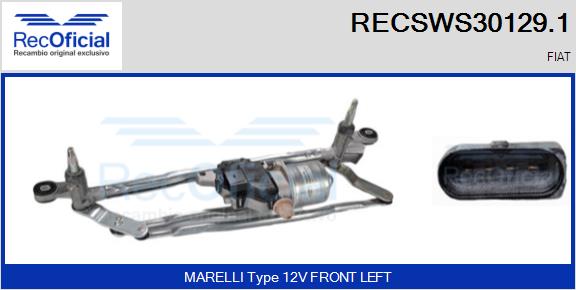 RECSWS30129.1