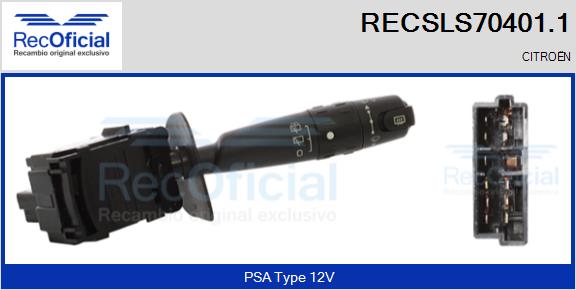 RECSLS70401.1