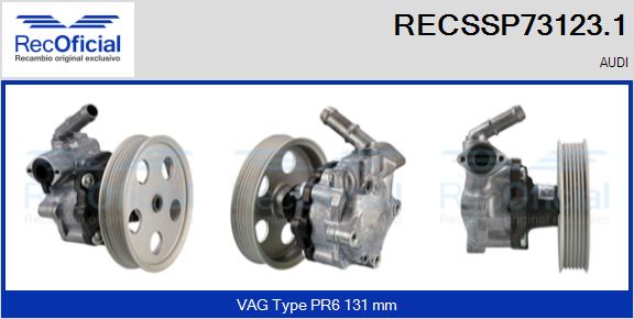 RECSSP73123.1