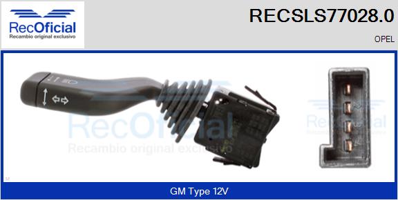 RECSLS77028.0