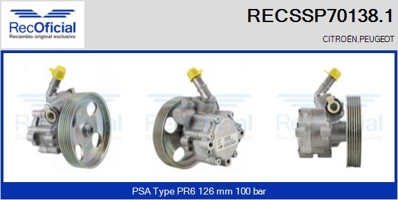 RECSSP70138.1