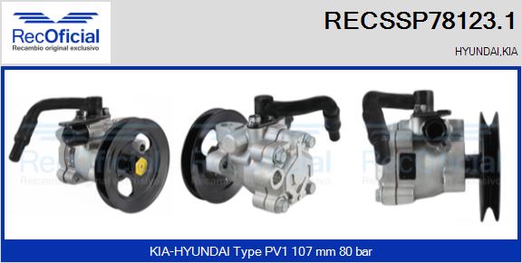 RECSSP78123.1