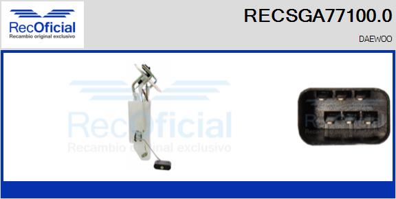 RECSGA77100.0