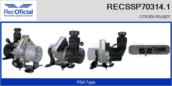 RECSSP70314.1