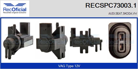 RECSPC73003.1