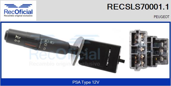 RECSLS70001.1