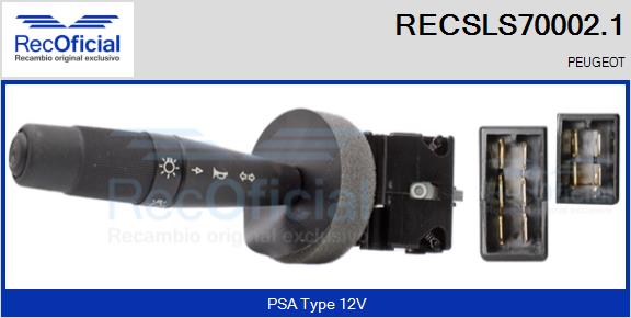 RECSLS70002.1