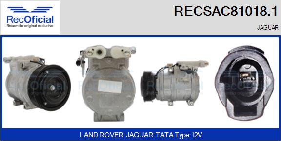 RECSAC81018.1