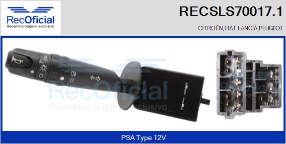 RECSLS70017.1