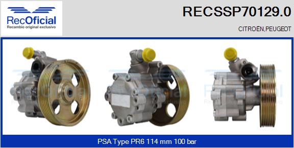 RECSSP70129.0