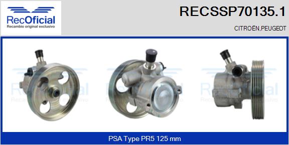 RECSSP70135.1