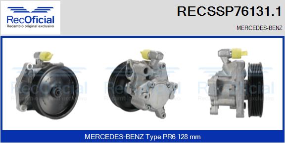 RECSSP76131.1
