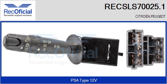 RECSLS70025.1