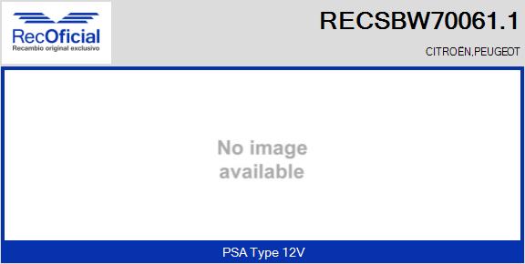 RECSBW70061.1