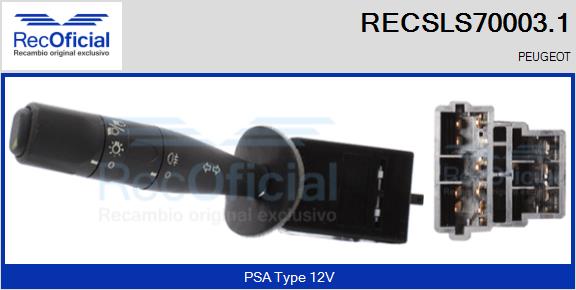 RECSLS70003.1