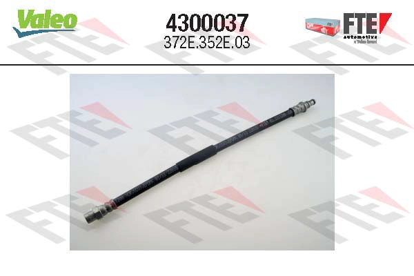 4300037