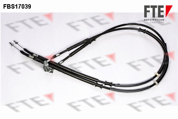FBS17039