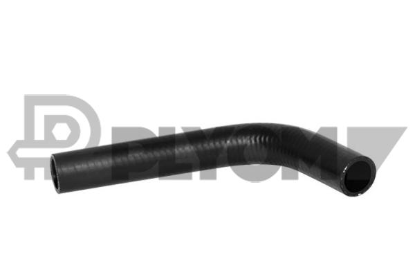 P754256
