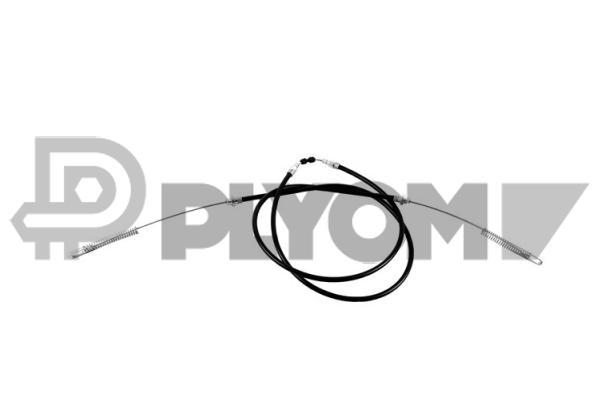 P019064