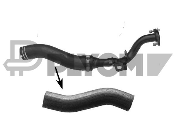 P774702